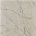 Showerwall Shell Marble