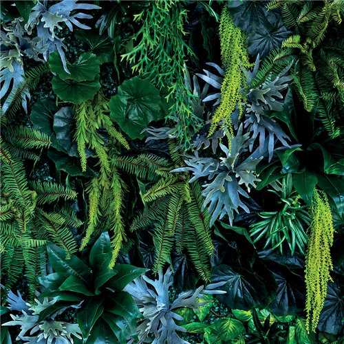 Showerwall Plant Wall - Acrylic