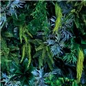Showerwall Plant Wall - Acrylic