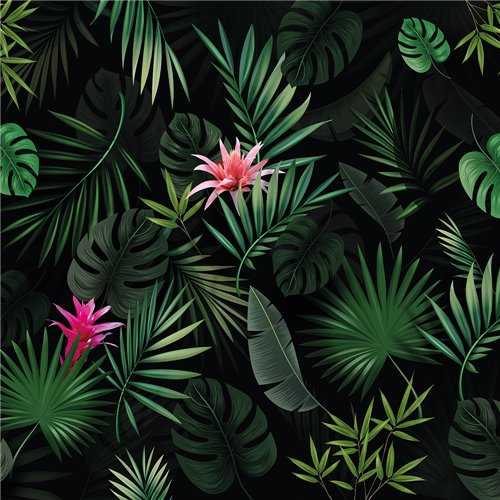 Showerwall Bromelia - Acrylic