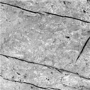 Alloy Fossil Marble Splashback