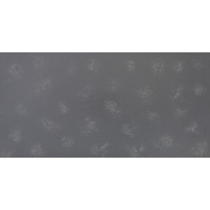 Fugen Carbon