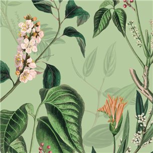 Showerwall Blossom Acrylic