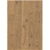 Quick-Step Alpha LVT Cottage Oak Natural