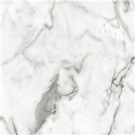 Showerwall Veneto Marble