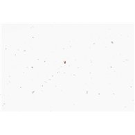 White Sparkle Andromeda 38mm Postformed Edge - Gloss
