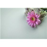 Metis White Fleck 15mm Solid Acrylic